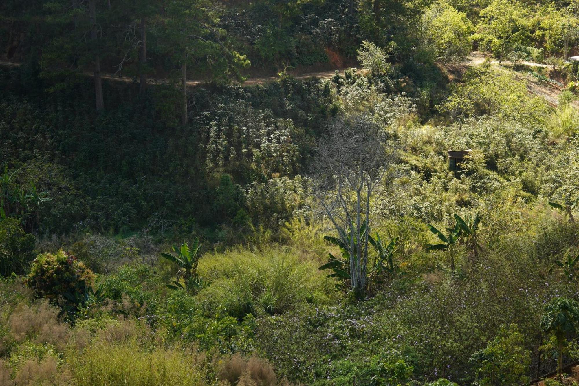 Emai Valley 大叻 外观 照片